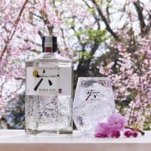 Xuất khẩu rượu gin của Nhật Bản đạt kỷ lục trong năm 2021